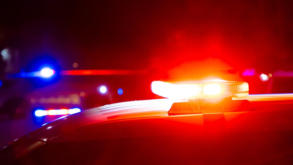 Driver killed in head-on collision with semi in central Minnesota — Oakdale Sports news