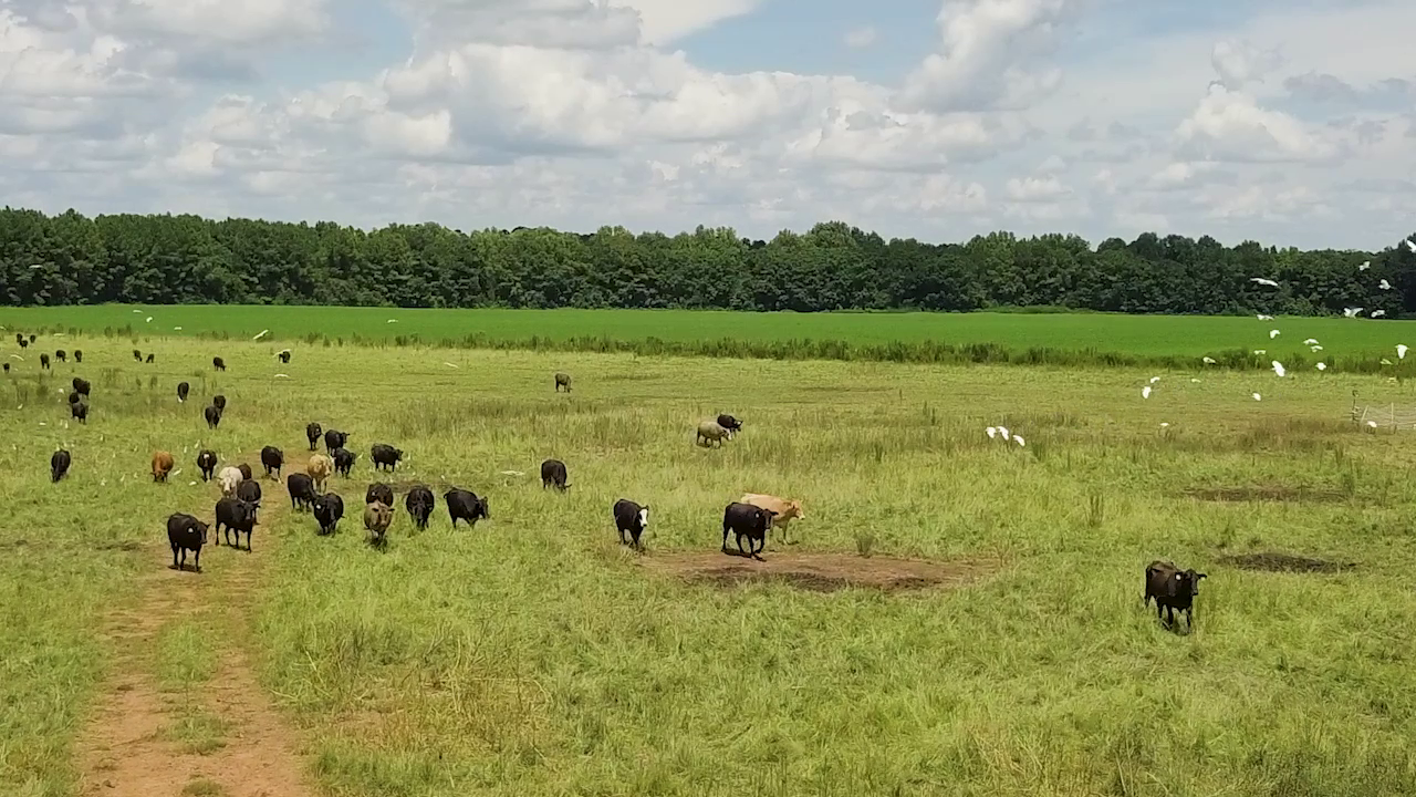 5 ON YOUR SIDE: Regenerative agriculture — Oakdale Health news